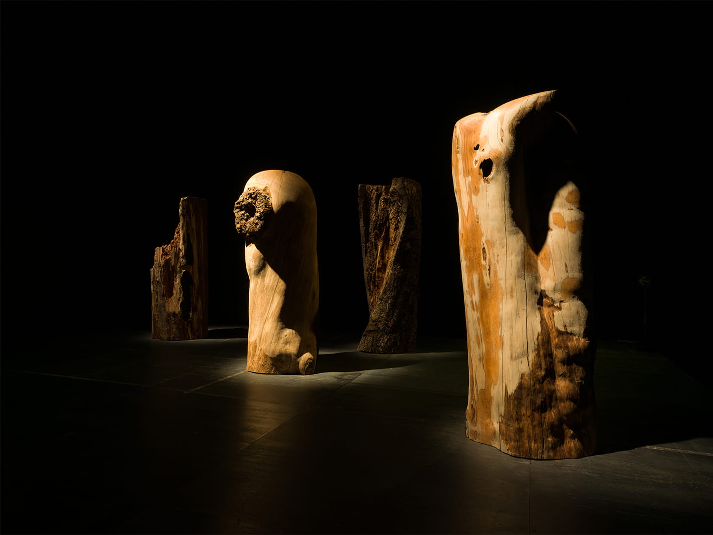 001-sideb-41_kineta-kunimatsu